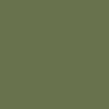 Square Frame in Olive